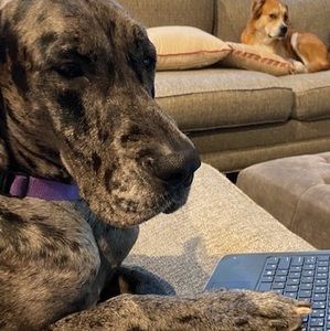 Meet your Posher, Tammy